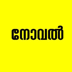 നോവൽ